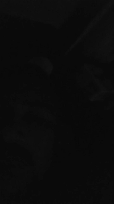 JAk198 live from United States