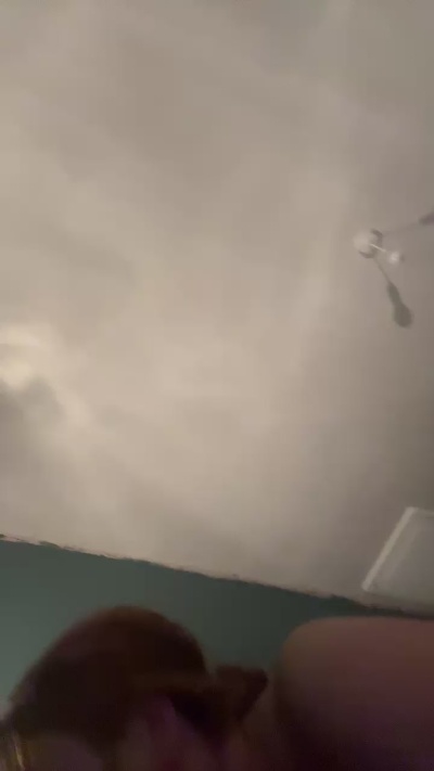 Scottiewren live from United Kingdom