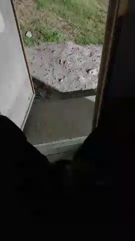 bambinoo94 live from Chile