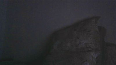 gutozam live from Brazil