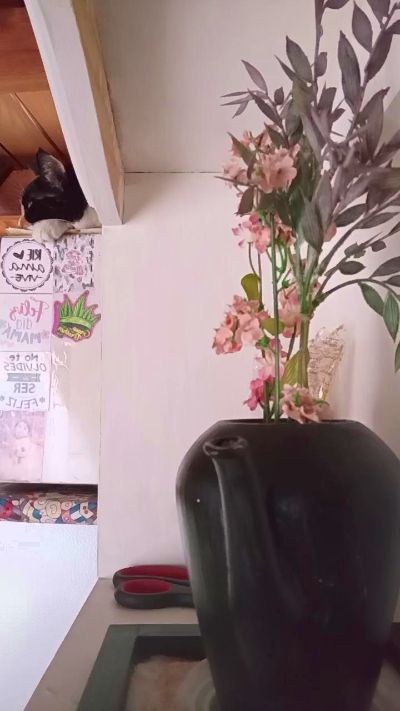 luli70hot live from Argentina